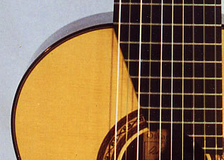 Detail view of the 10-string fingerboard