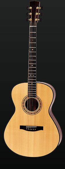 Full view of the C-Model guitar