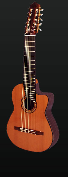 Full view of a 10-string Cutaway guitar